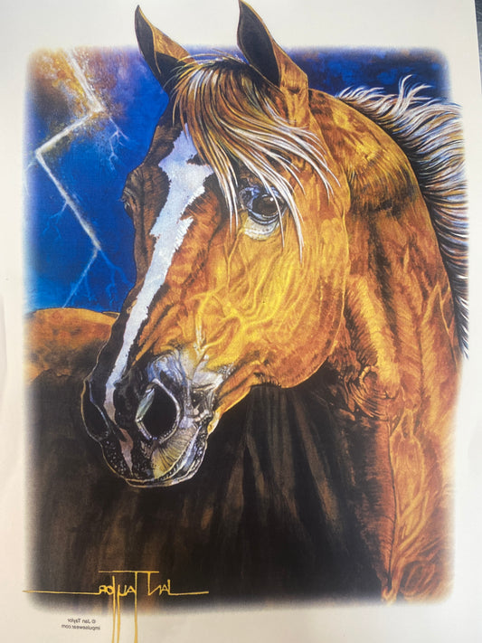 Lightning Horse - Lights
