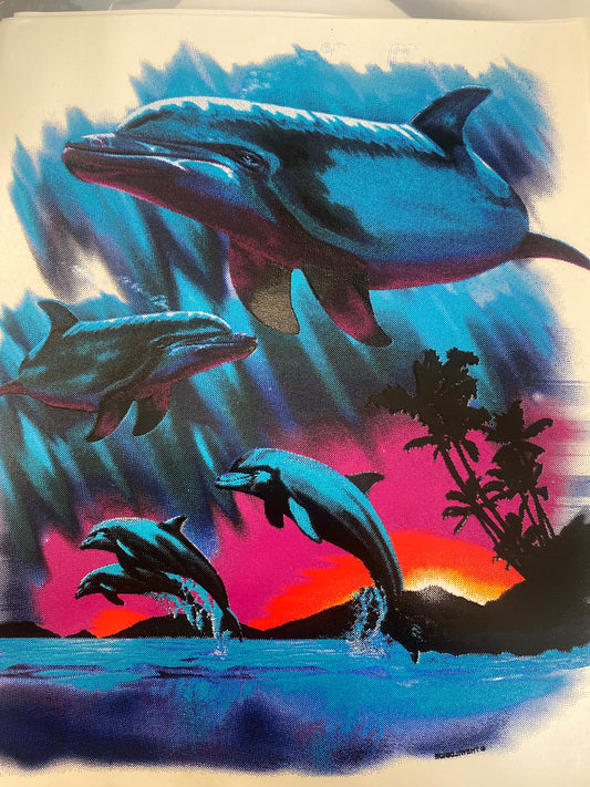 Dolphin Sunset - Any Colour