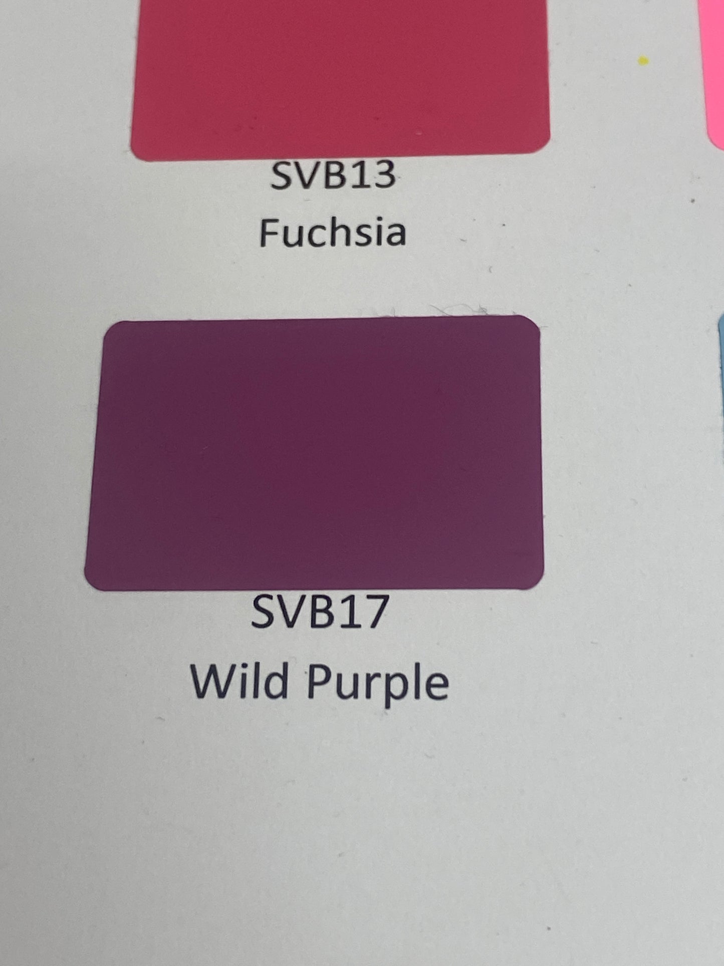 Sticker Basics -  Wild Purple SVB17